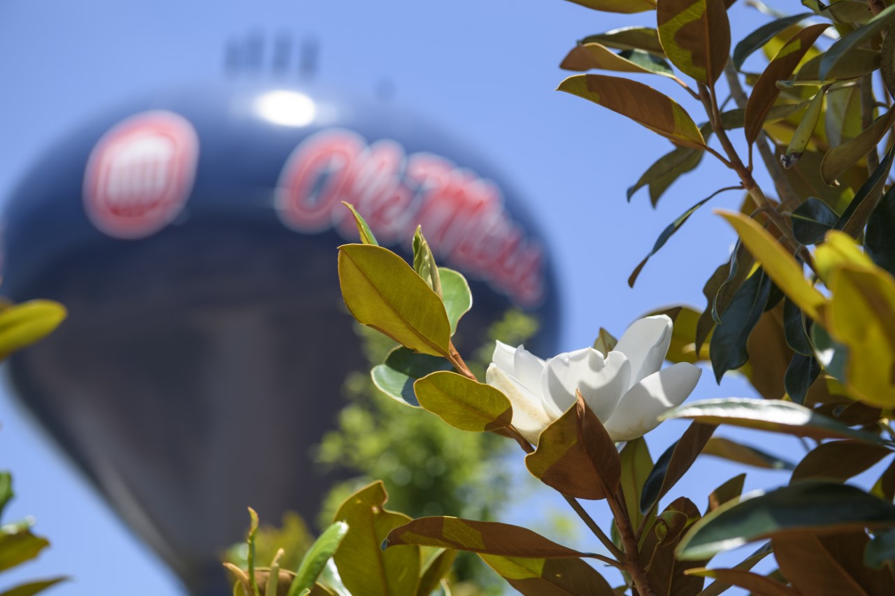 Water tower with magnolia blooming in view